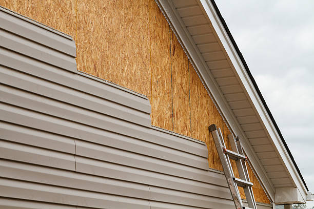 Professional Siding Inspection technician working in East Bend, NC